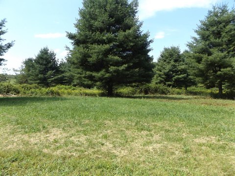 Land, Hillsville, VA
