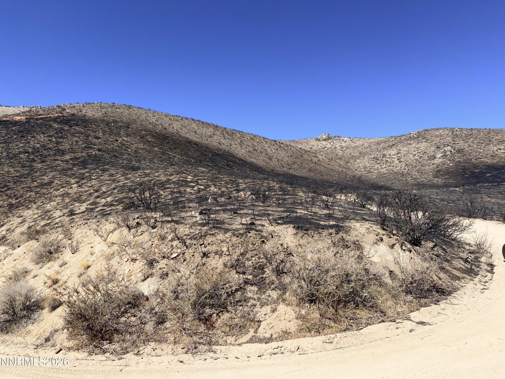 Picture 26