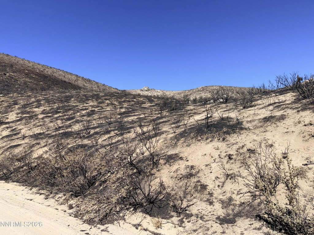 Picture 21