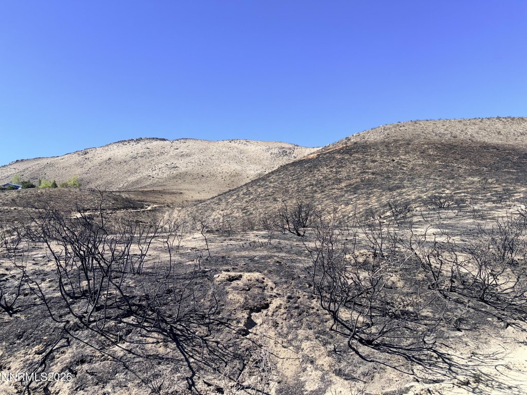 Picture 28
