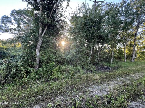 Land in DeLand, Florida