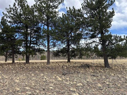 Land, Hartsel, CO