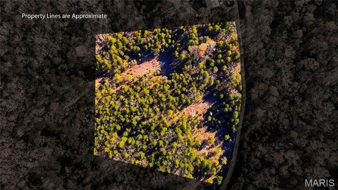 Residential Land in Big Woods