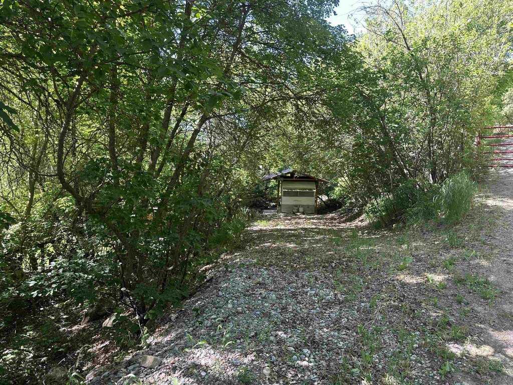 Picture 21