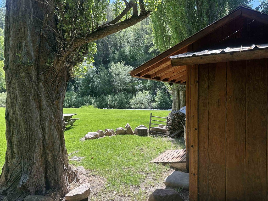 Picture 16