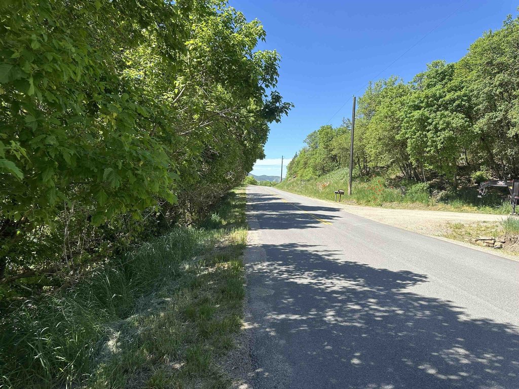 Picture 23