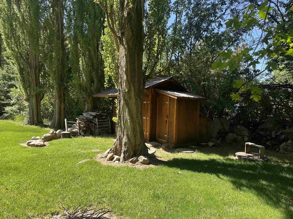 Picture 15
