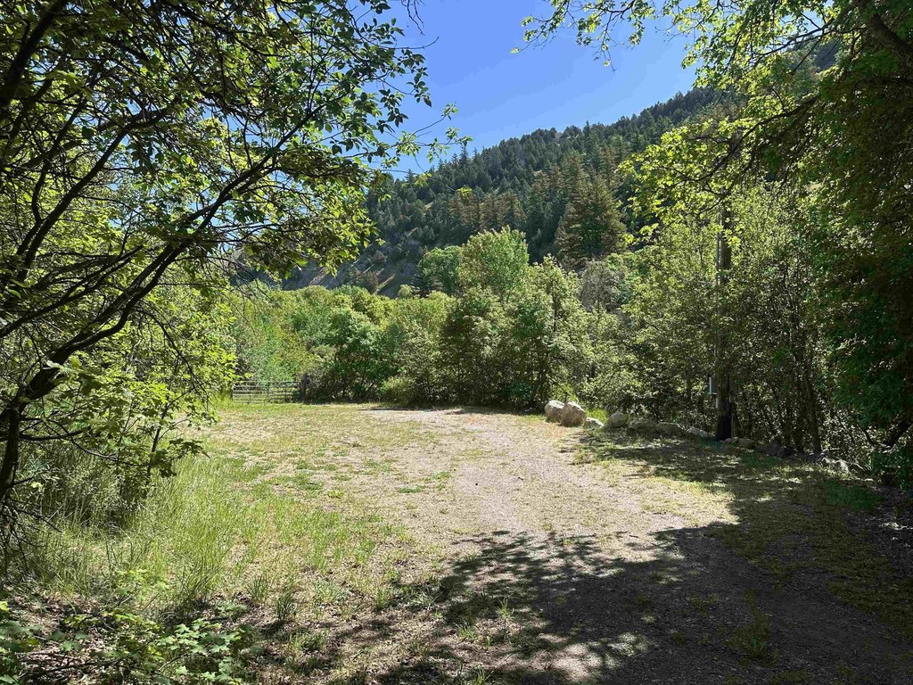 Picture 20