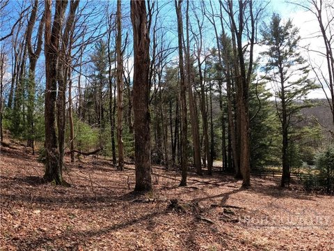 Yonahlossee Saddle Club Homesite