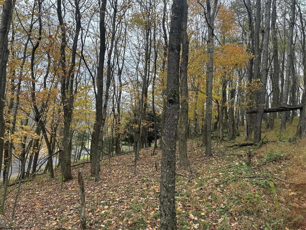 Picture 4