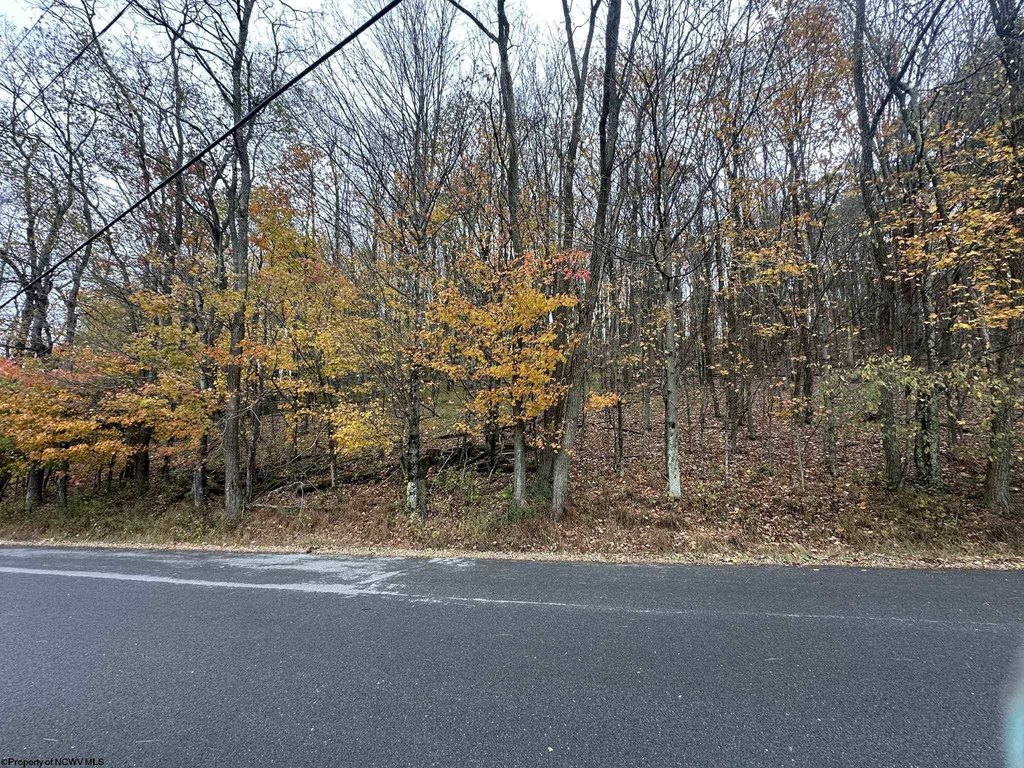 Picture 5