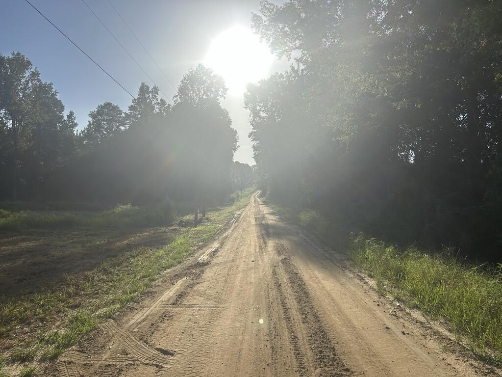 Picture 20