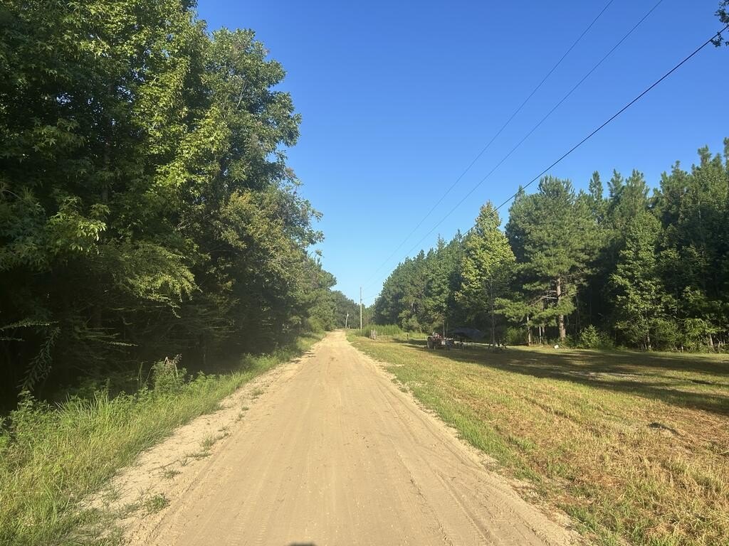 Picture 19