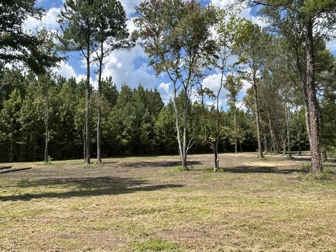 LAND - Slocomb, AL