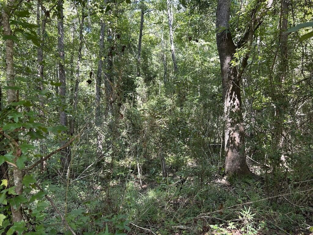 Picture 16
