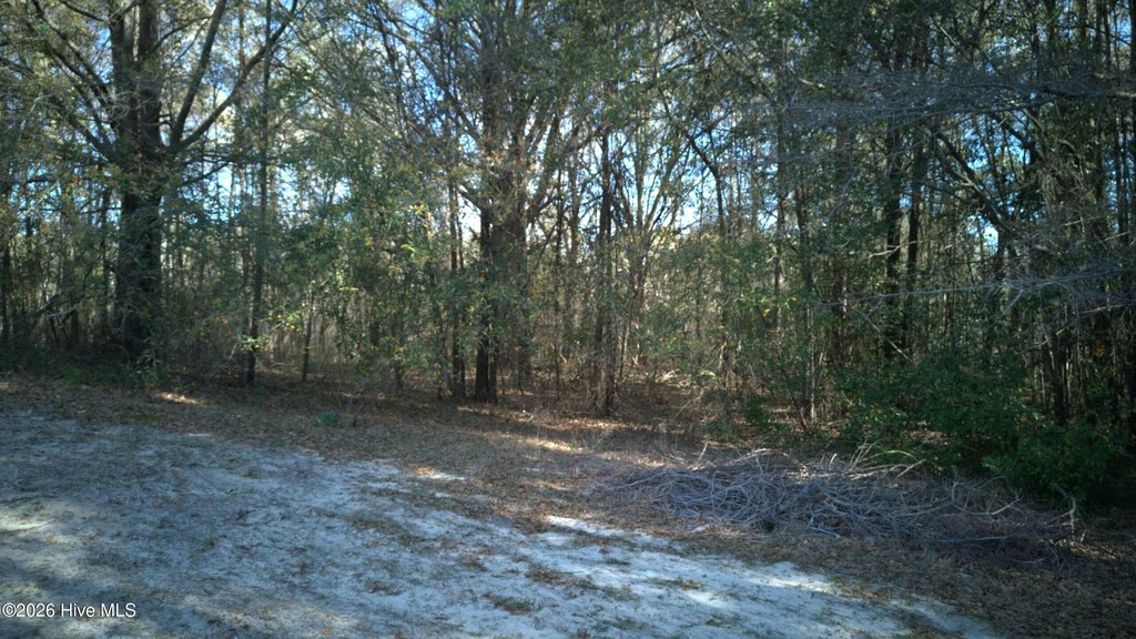 Picture 11