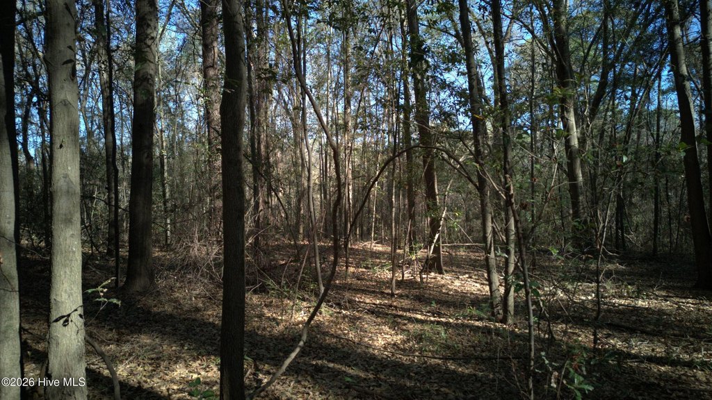 Picture 13