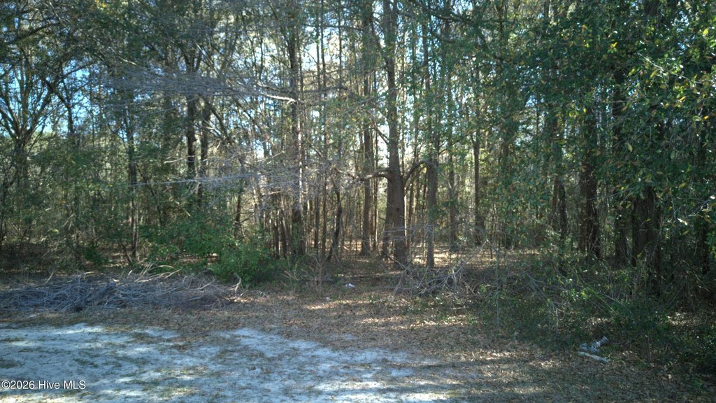 Picture 12