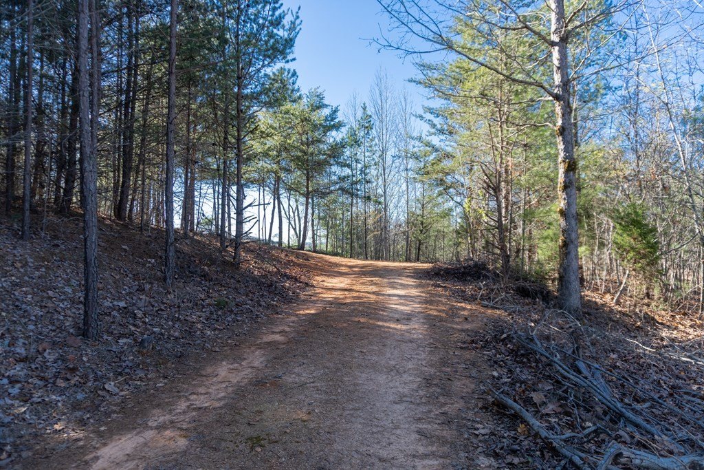 Picture 24