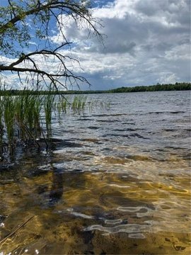 Waterfront Residential Lot with Shoreline