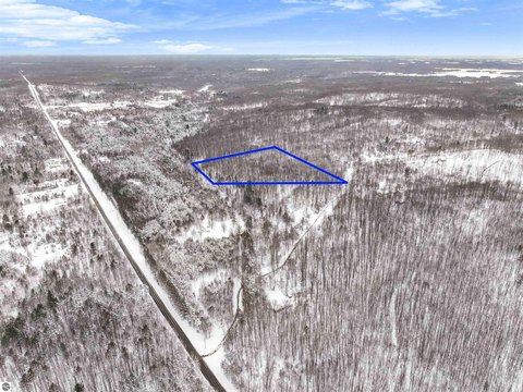 Picture of Land at W Falmouth Rd 000, Cadillac, MI