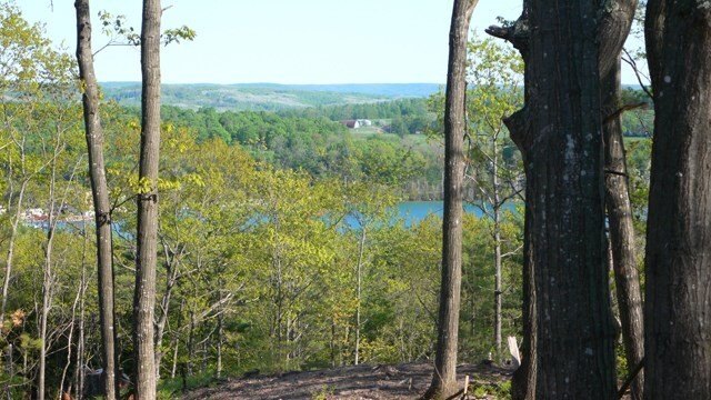 Picture 3