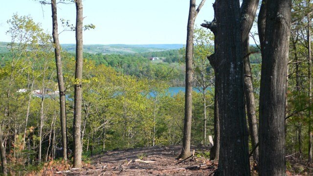 Picture 2