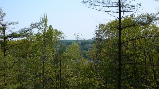 Picture 4