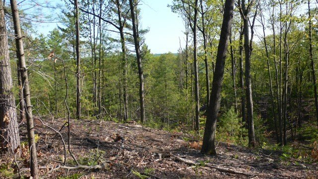 Picture 10