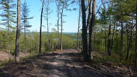 LAND - WALLOON LAKE, MI