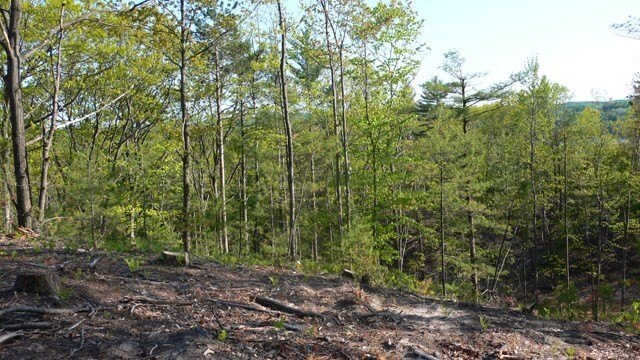 Picture 8