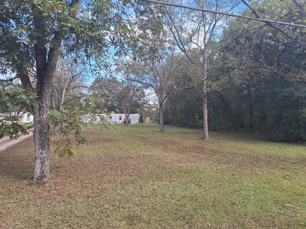 Picture 2
