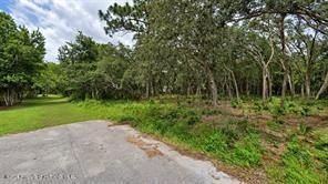 Land, Spring Hill(Pasco), FL