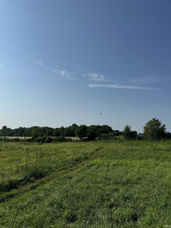 Picture 6