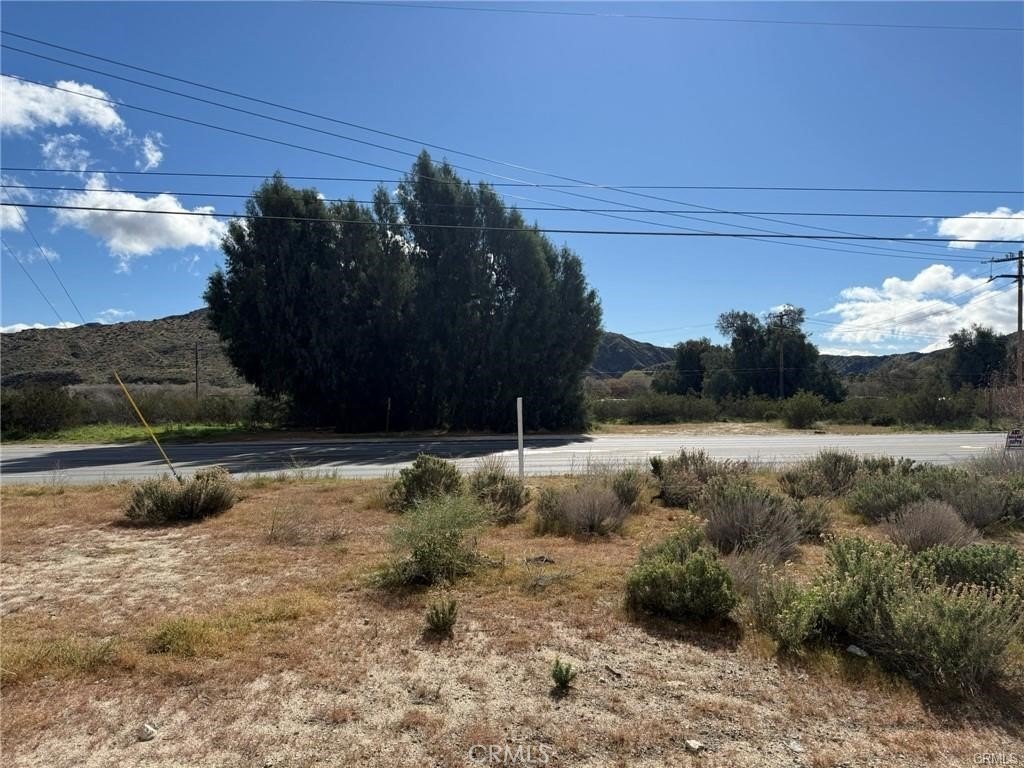 Picture 23