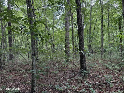 LAND - Monterey, TN