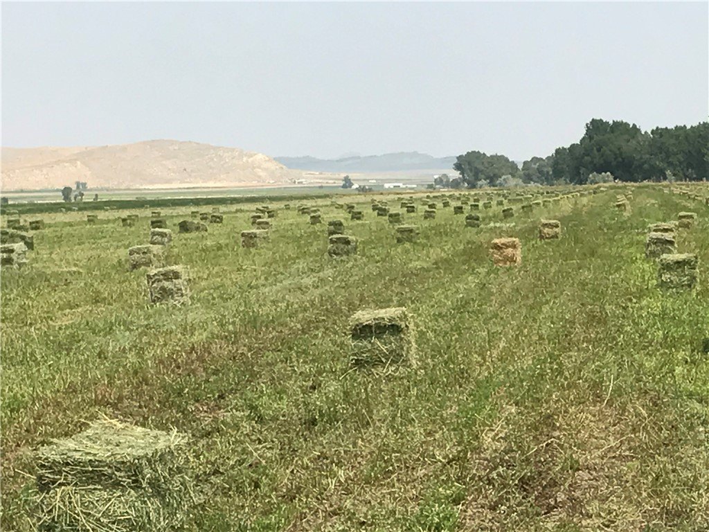 Productive Irrigated Farm Ground