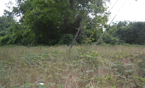 LAND - Sumter, SC