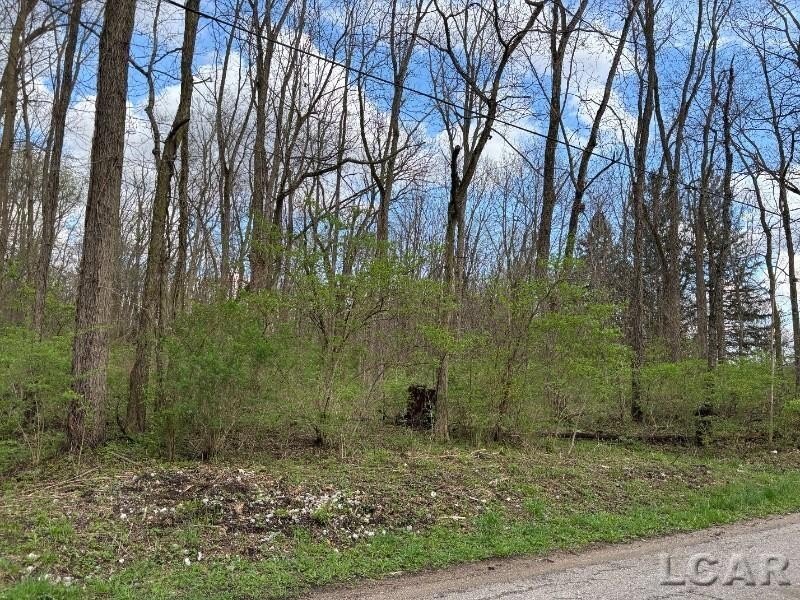 2.28 Acre Wooded Lot