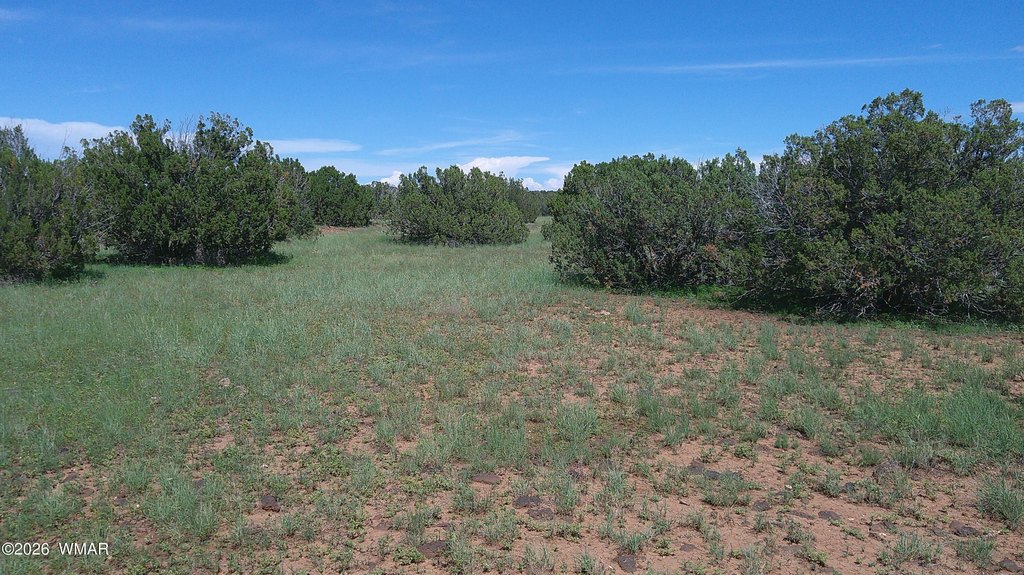 Picture 20