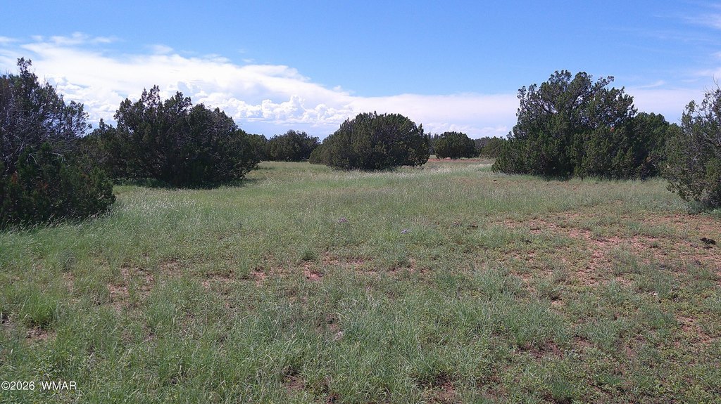 Picture 22