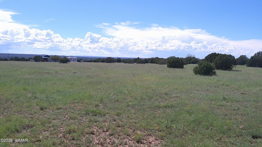 Picture 24