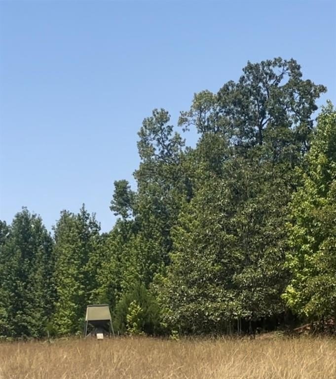 Picture 16