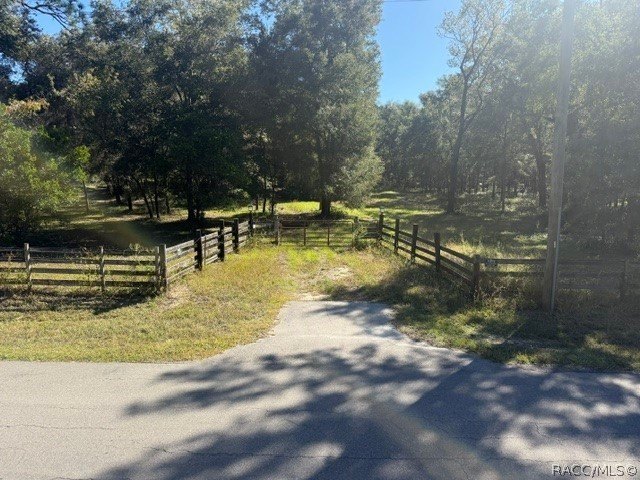 Picture 23