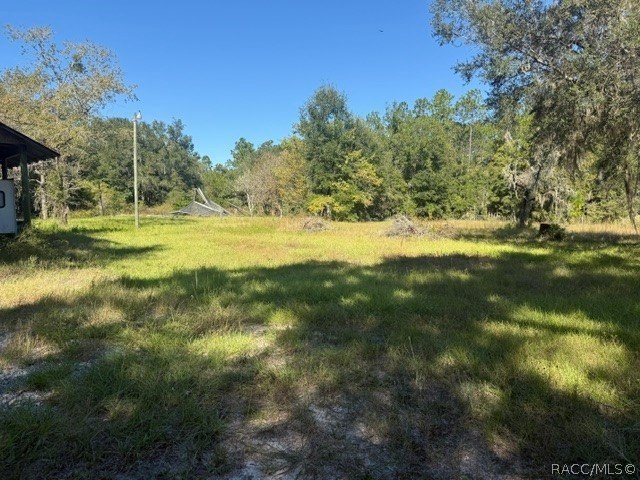 Picture 13