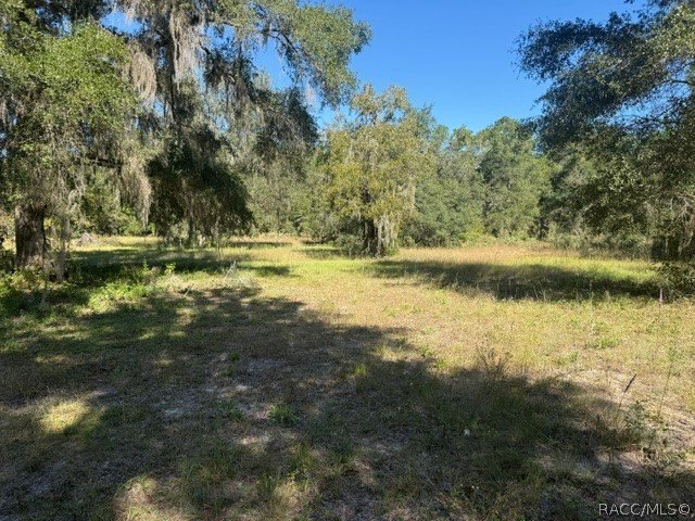 Picture 16