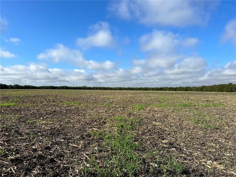 Agricultural Land Along Creek