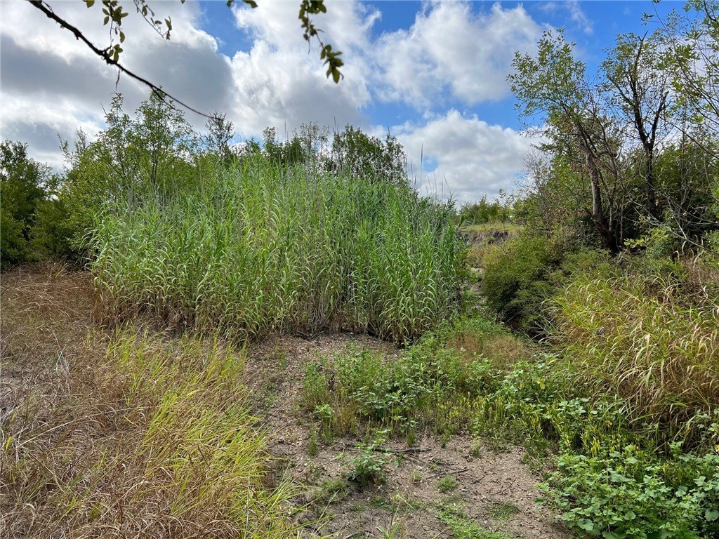 Picture 16