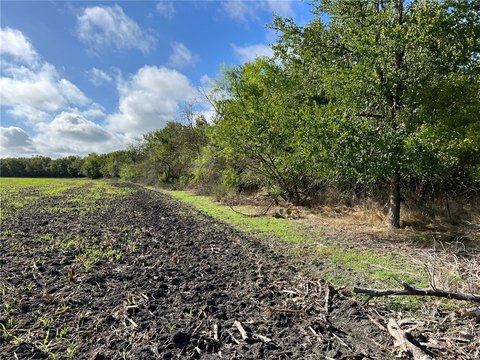 Agricultural Hunting and Farmland Tract