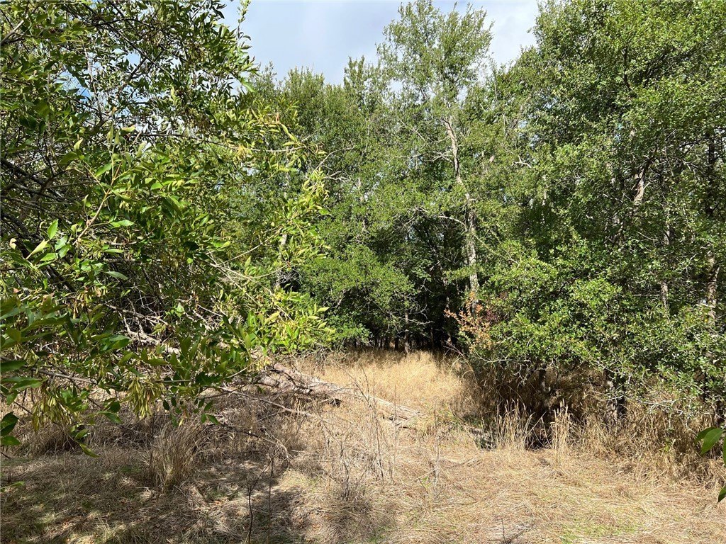 Picture 19